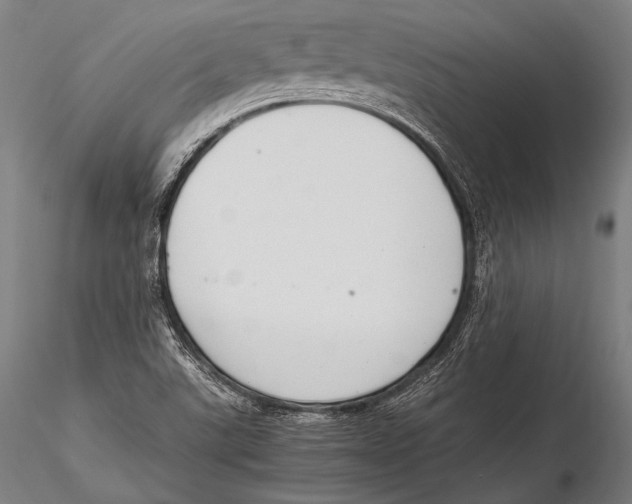 X0000115481507200912040940