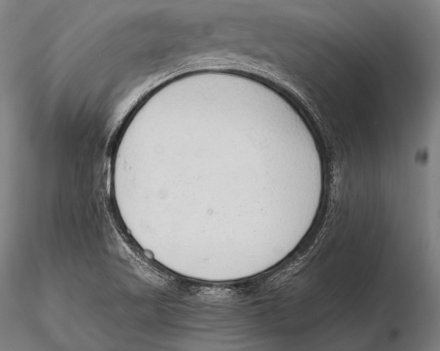 X0000115481509200912040940