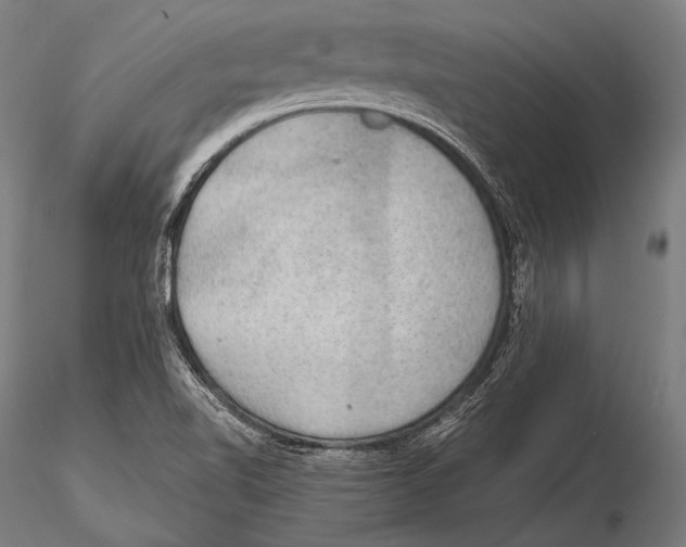 X0000115481510200912040940