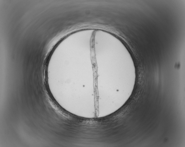 X0000115481511200912040940