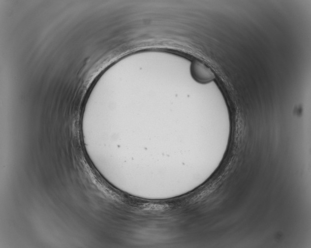 X0000115481513200912040940