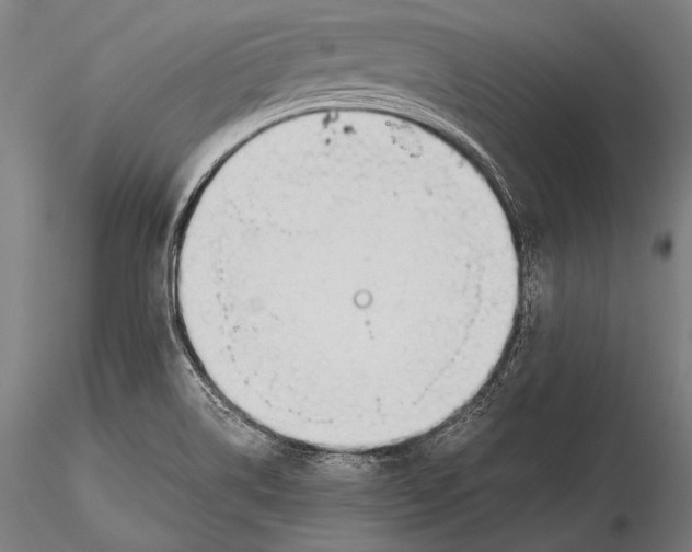 X0000115481514200912040940