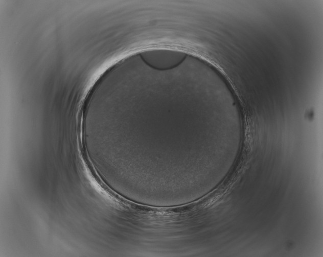 X0000115481515200912040940