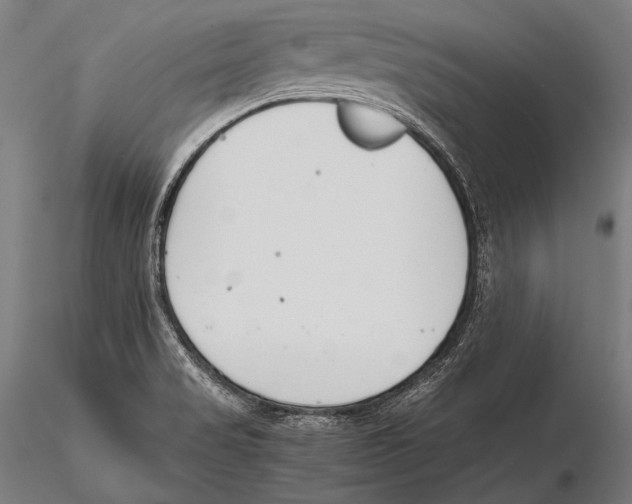 X0000115481517200912040940