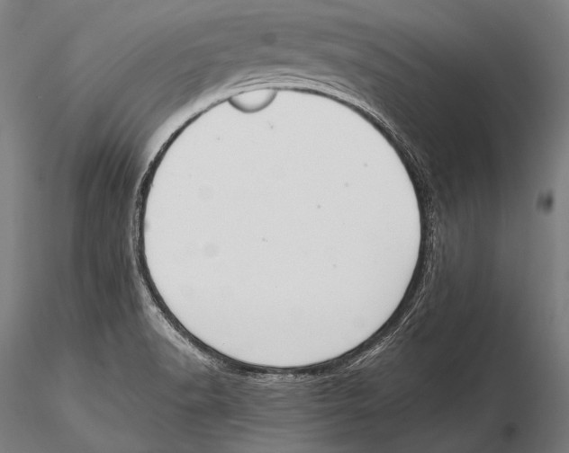 X0000115481518200912040940