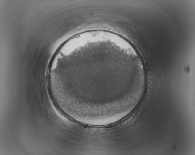 X0000115481519200912040940