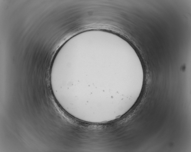 X0000115481521200912040940