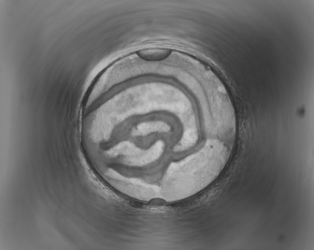 X0000115481522200912040940