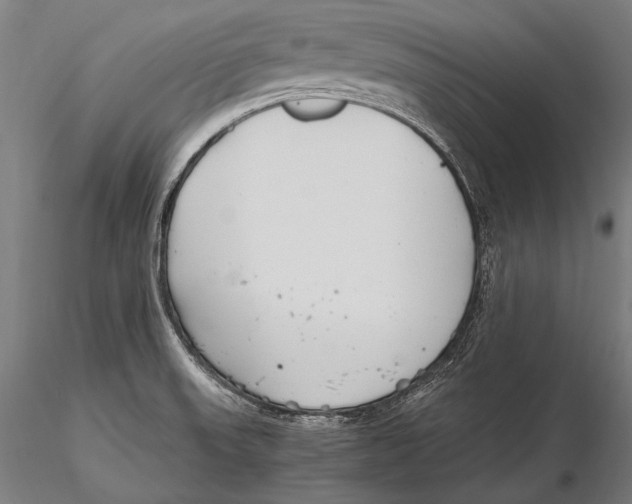 X0000115481523200912040940