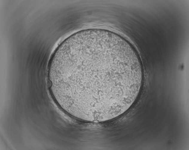 X0000115481525200912040940