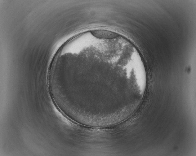 X0000115481527200912040940