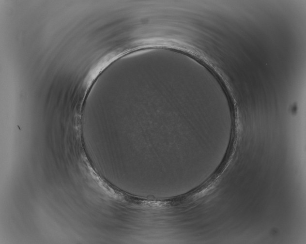 X0000115481529200912040941