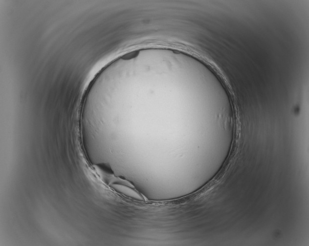 X0000115481530200912040941