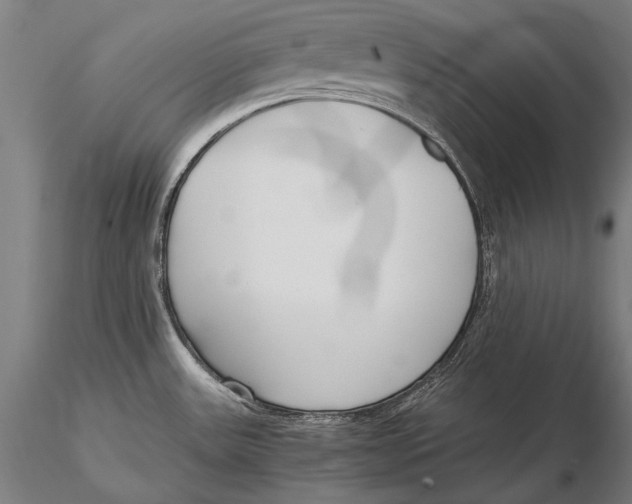 X0000115481531200912040941