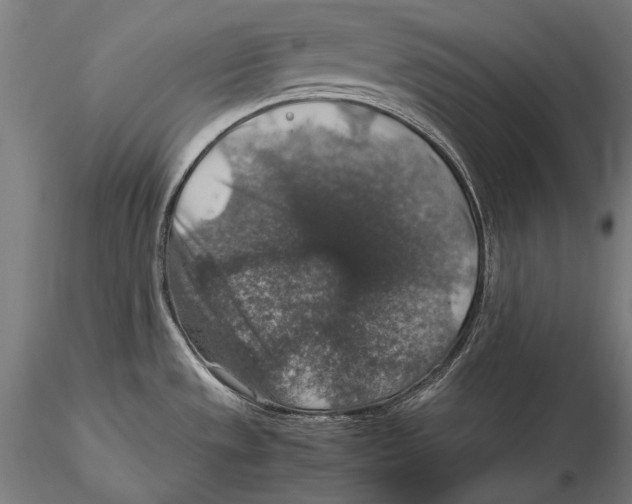 X0000115481533200912040941