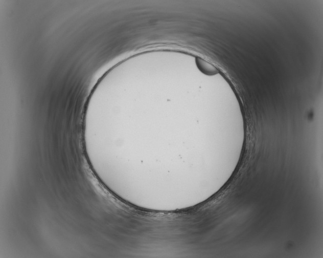 X0000115481534200912040941