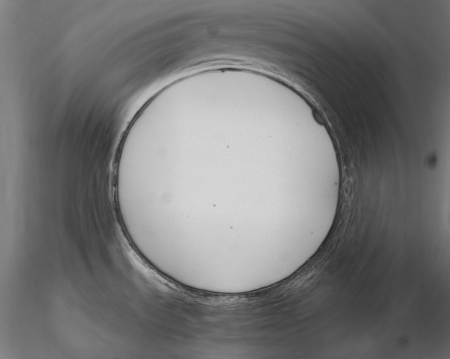 X0000115481535200912040941