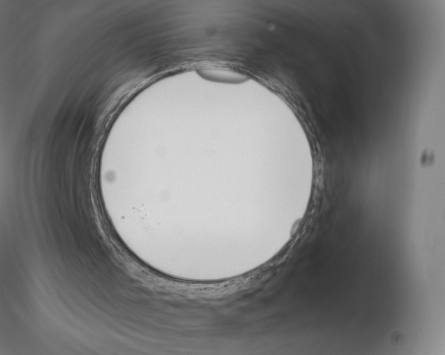 X0000115480001200912181219