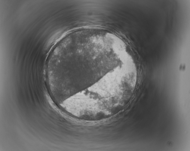X0000115480002200912181219