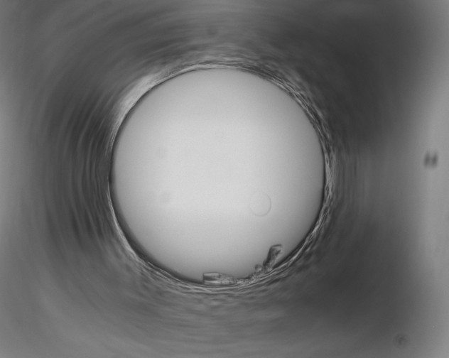 X0000115480003200912181219