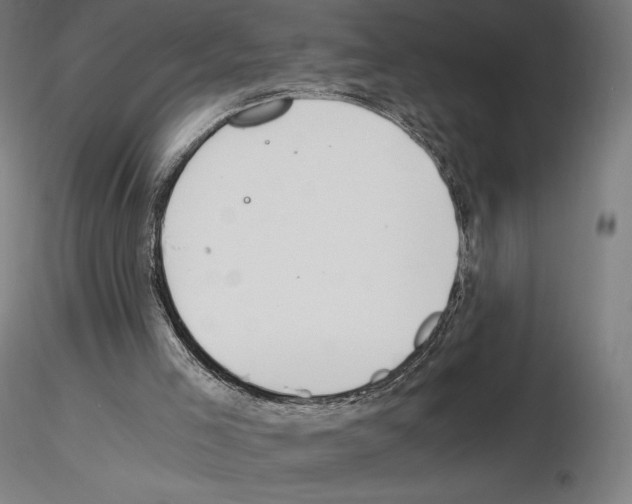 X0000115480005200912181219