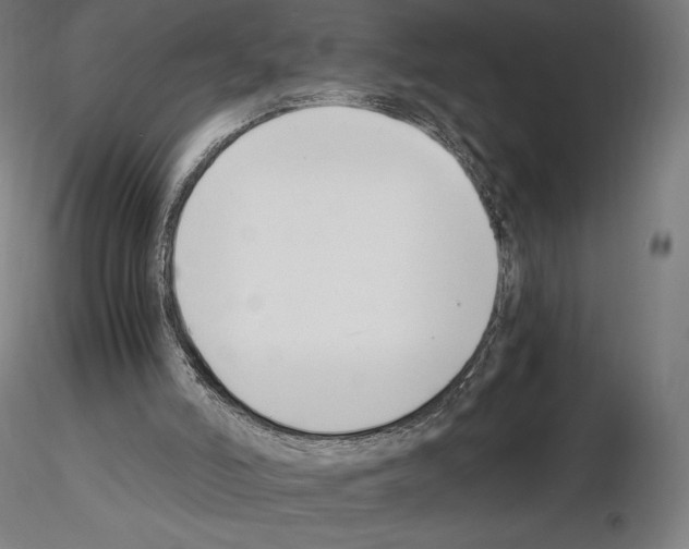 X0000115480006200912181219