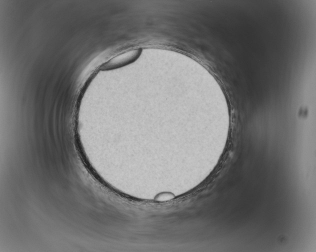 X0000115480007200912181219