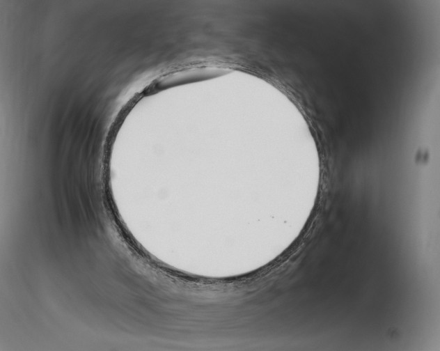 X0000115480008200912181219