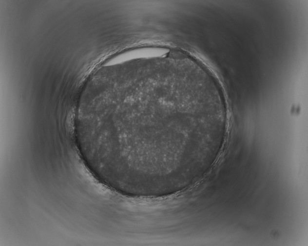 X0000115480009200912181219