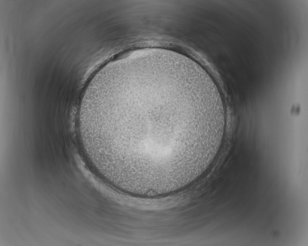 X0000115480010200912181219