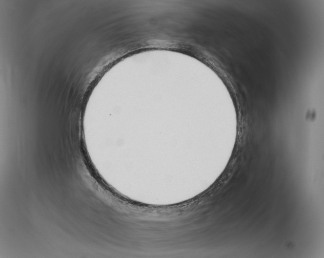 X0000115480011200912181219