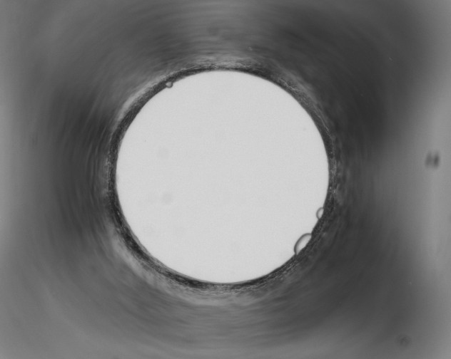 X0000115480012200912181219