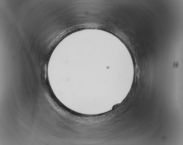 X0000115480013200912181219