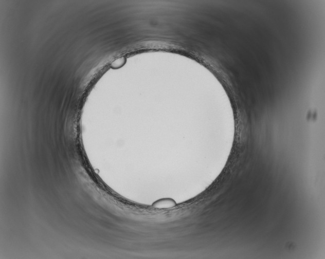 X0000115480015200912181219
