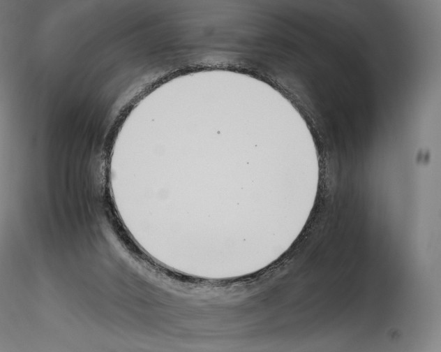 X0000115480016200912181219