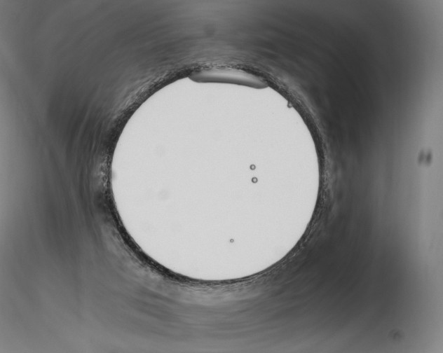 X0000115480017200912181219