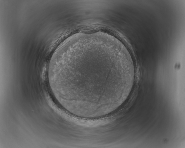 X0000115480018200912181219