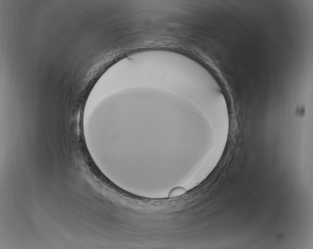 X0000115480019200912181219