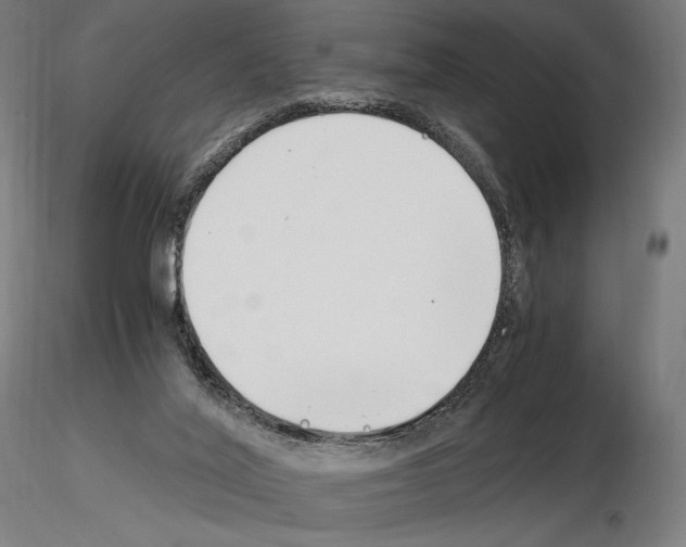 X0000115480020200912181219
