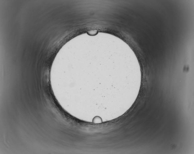 X0000115480021200912181219