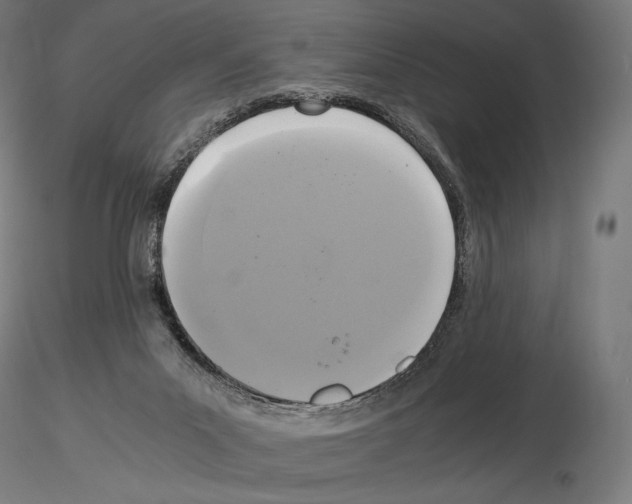 X0000115480023200912181219