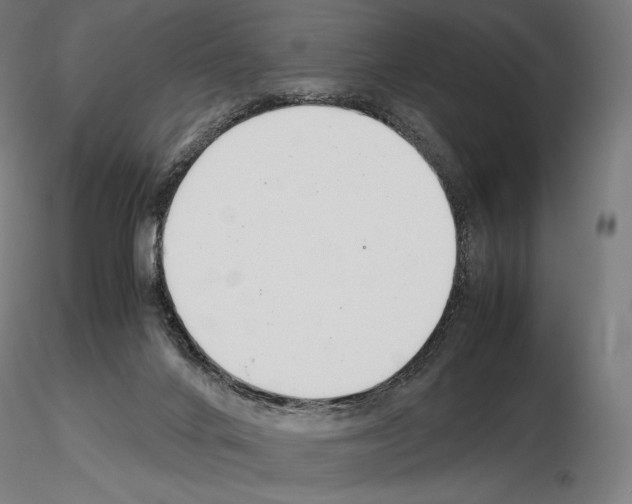 X0000115480024200912181219