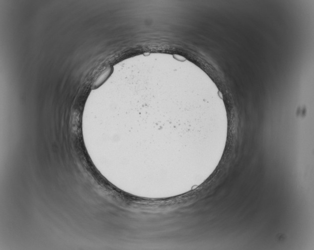 X0000115480025200912181219