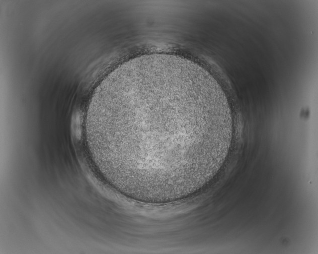 X0000115480026200912181219