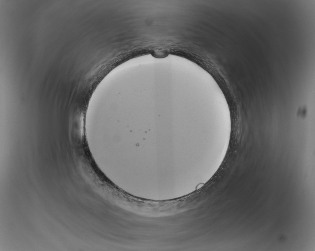X0000115480027200912181219