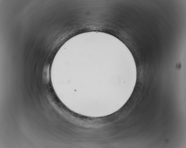 X0000115480028200912181219
