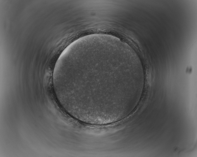 X0000115480029200912181219