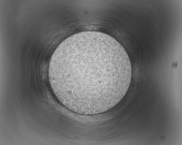 X0000115480030200912181219