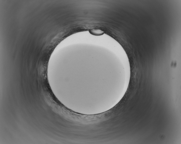 X0000115480031200912181219