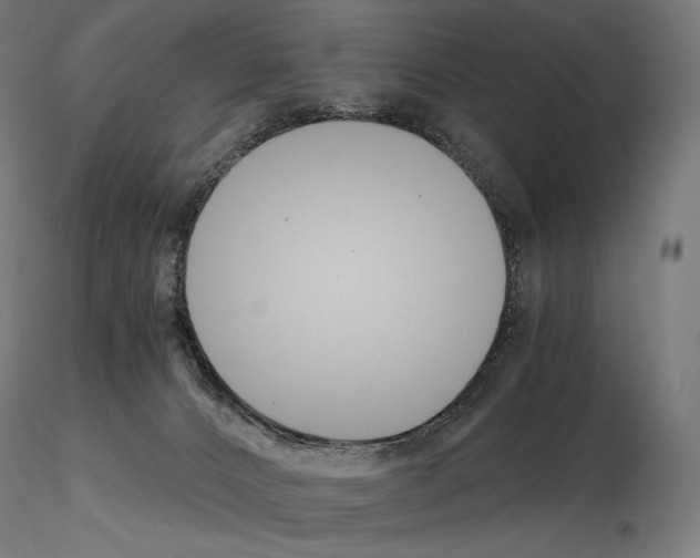 X0000115480032200912181219